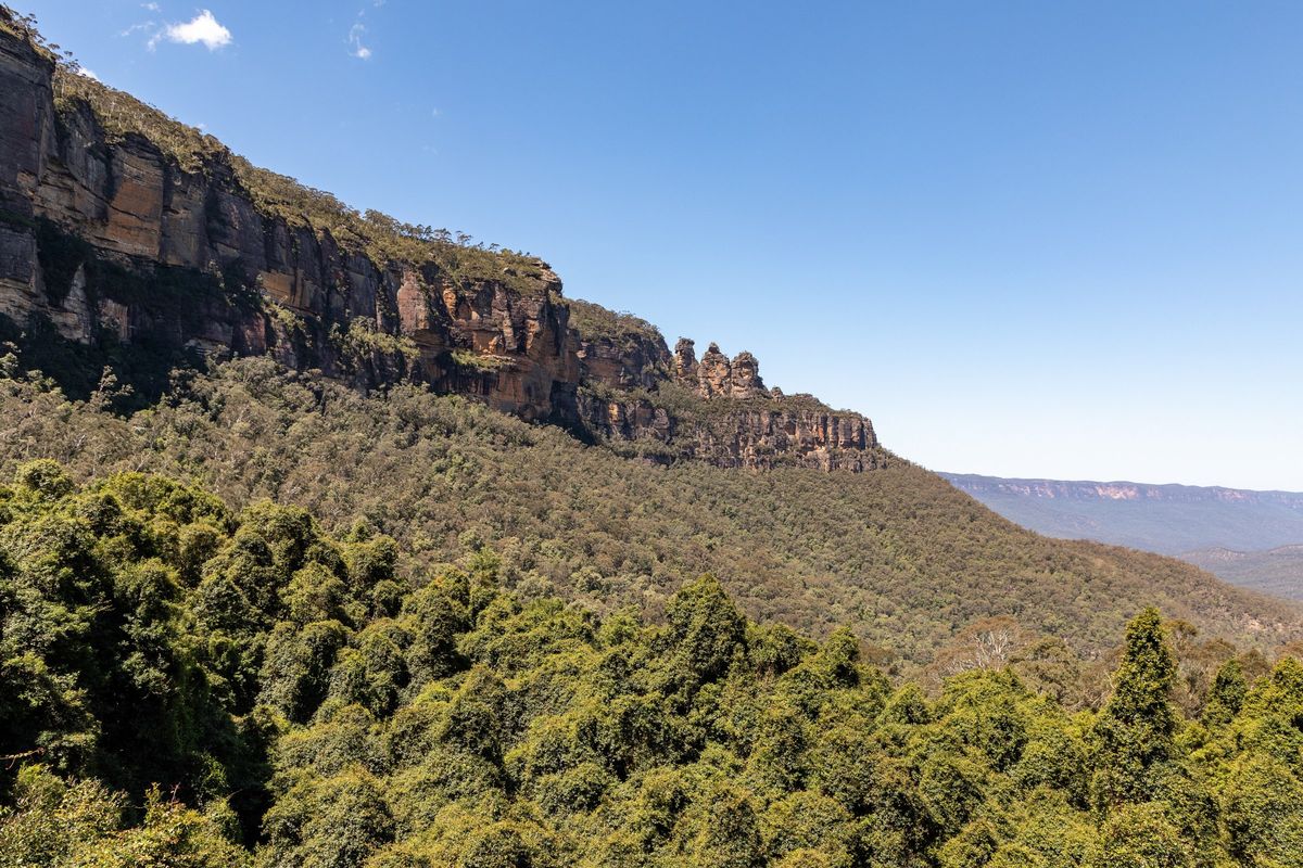 Sandsteinfelsen und Eukalyptuswälder in den Blue Mountains
