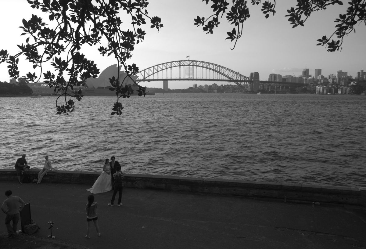 Blick von Mrs Macquaries Point auf Harbour Bridge und Opernhaus